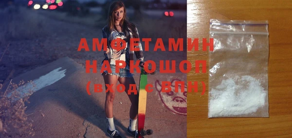 индика Инта