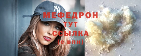 индика Инта