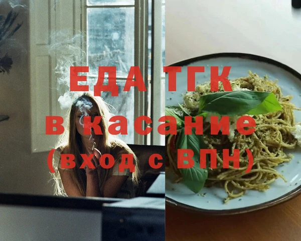 индика Инта