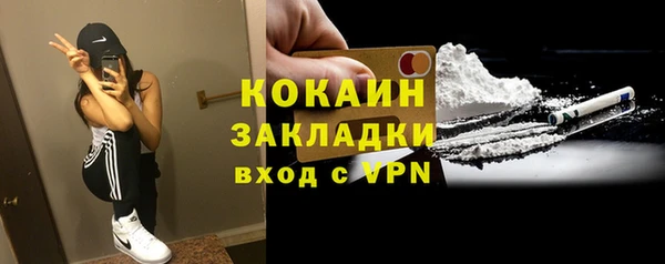 индика Инта