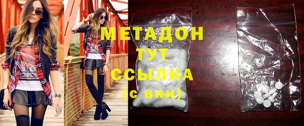 индика Инта