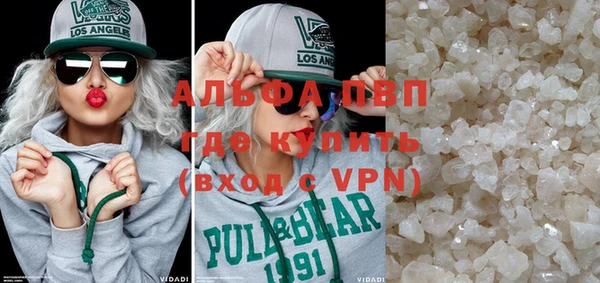 индика Инта