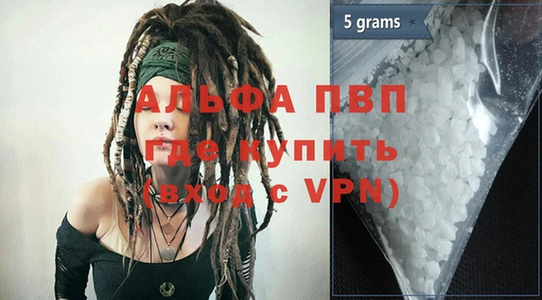 индика Инта