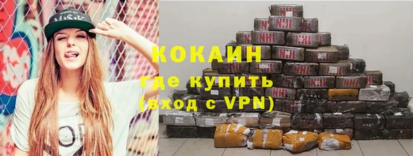 индика Инта