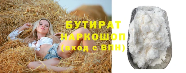 индика Инта