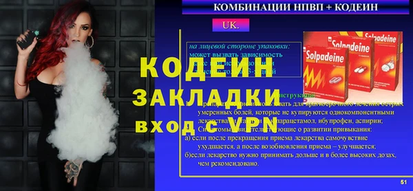 индика Инта