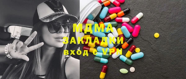 индика Инта