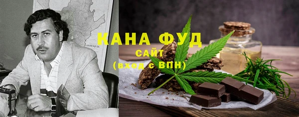 индика Инта