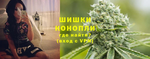 индика Инта