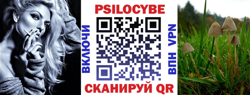 Купить  Краснослободск  Галлюциногенные грибы Psilocybe 